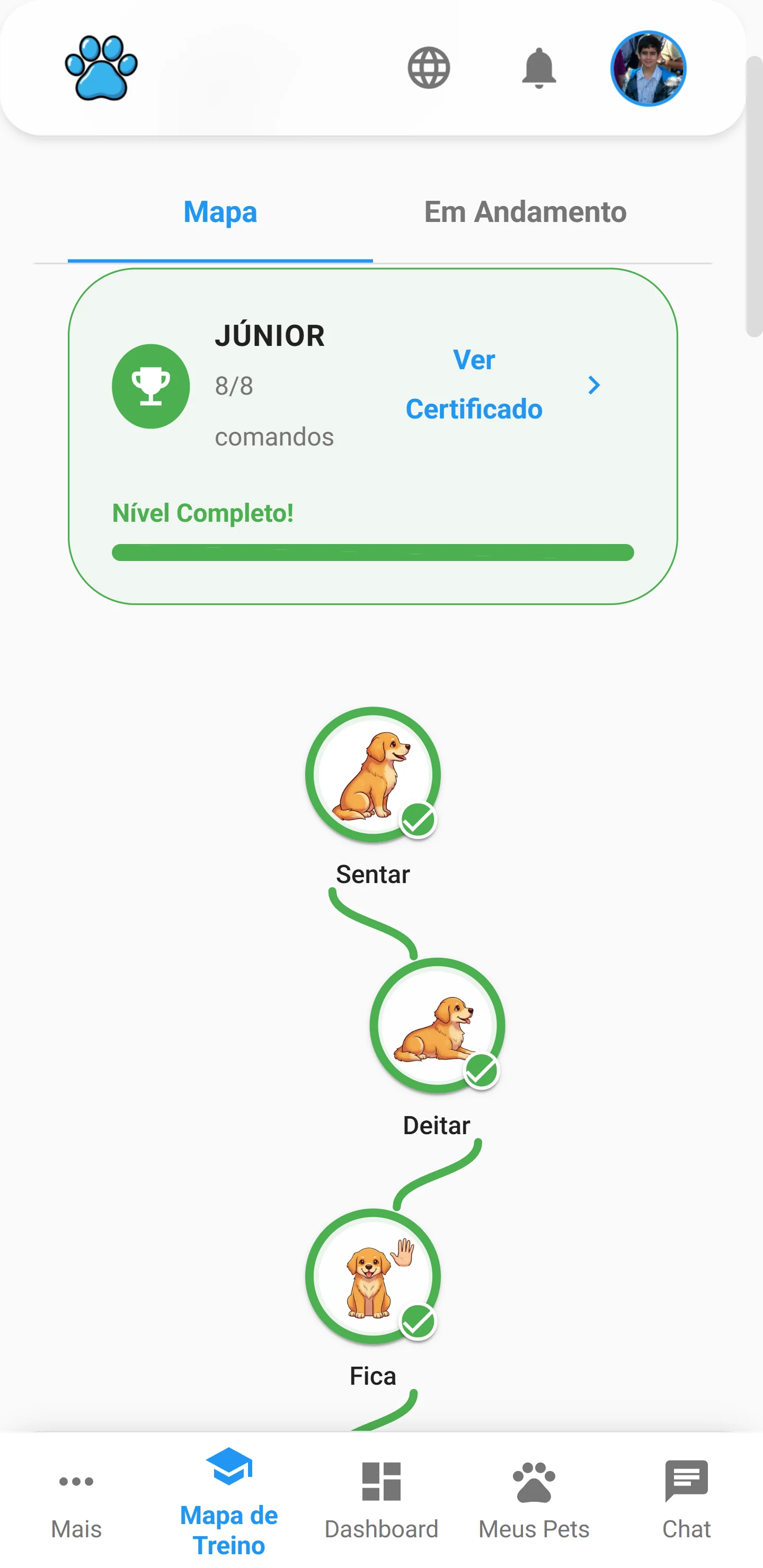 Interface do mapa visual de treino com badges